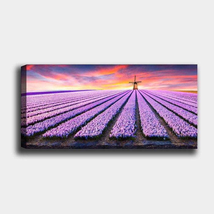 Wallity Lienzo Decorativo Multicolor 50 x 120 cm